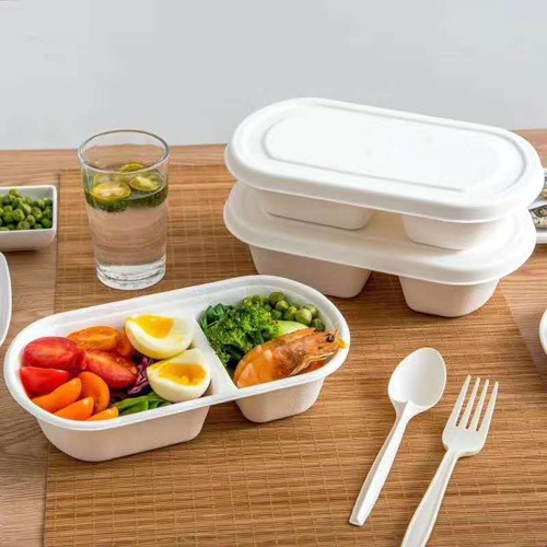 táirgí bagasse sugarcane