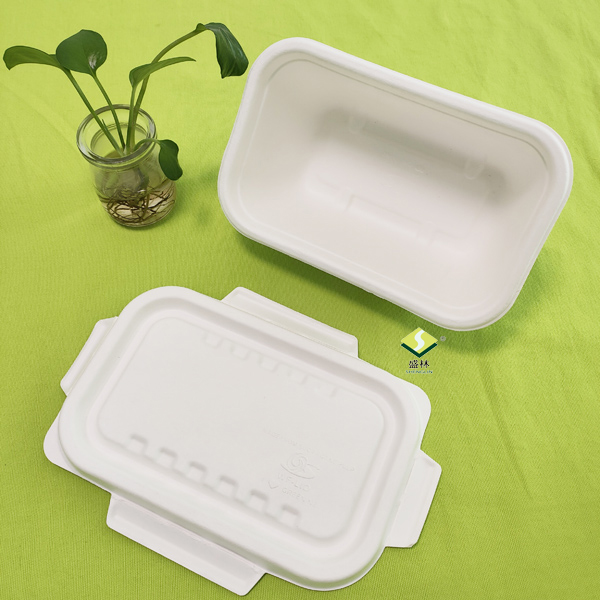 tá coimeádáin bagasse pacáilte agus réidh le seoladh