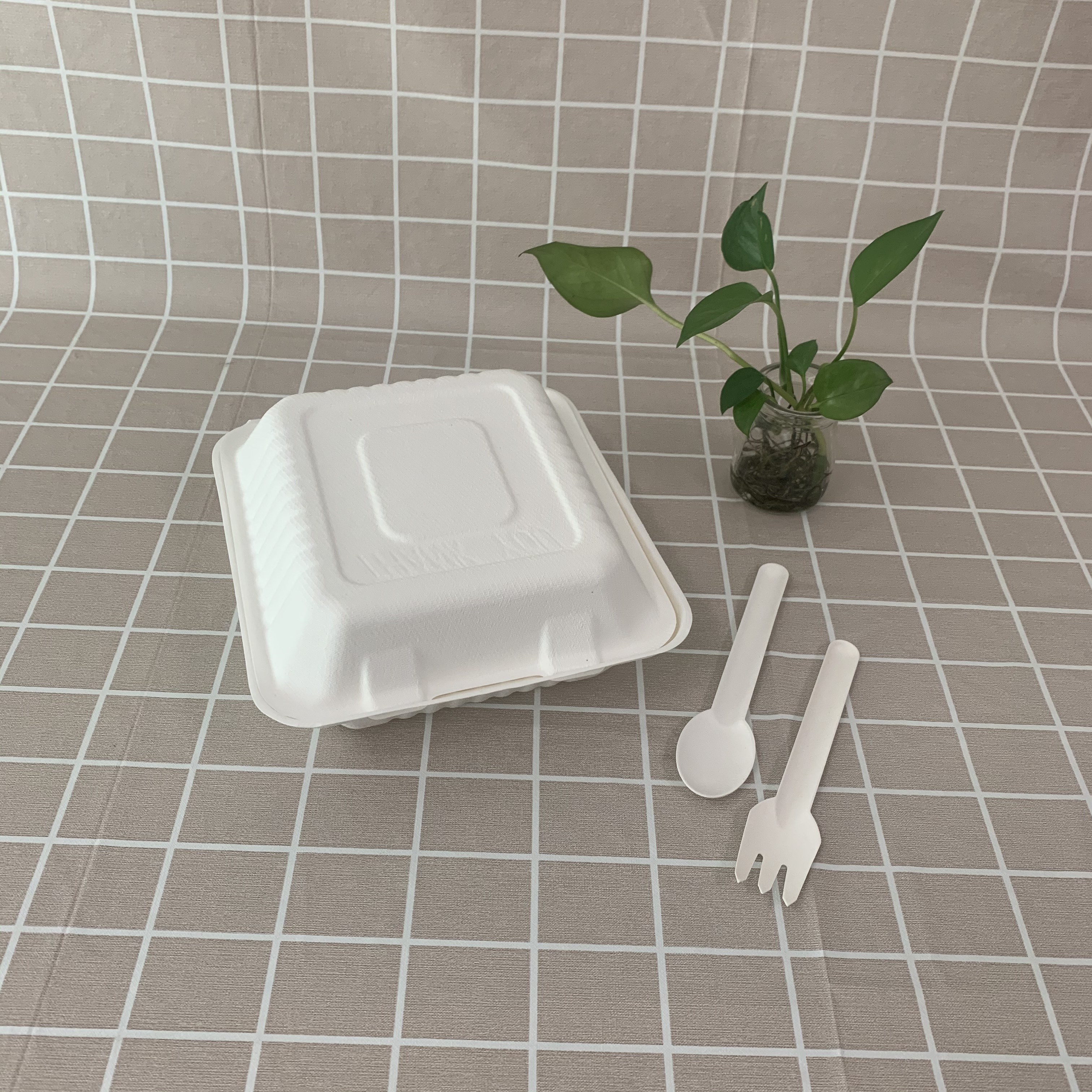 Luchtú coimeádáin bia eco bagasse