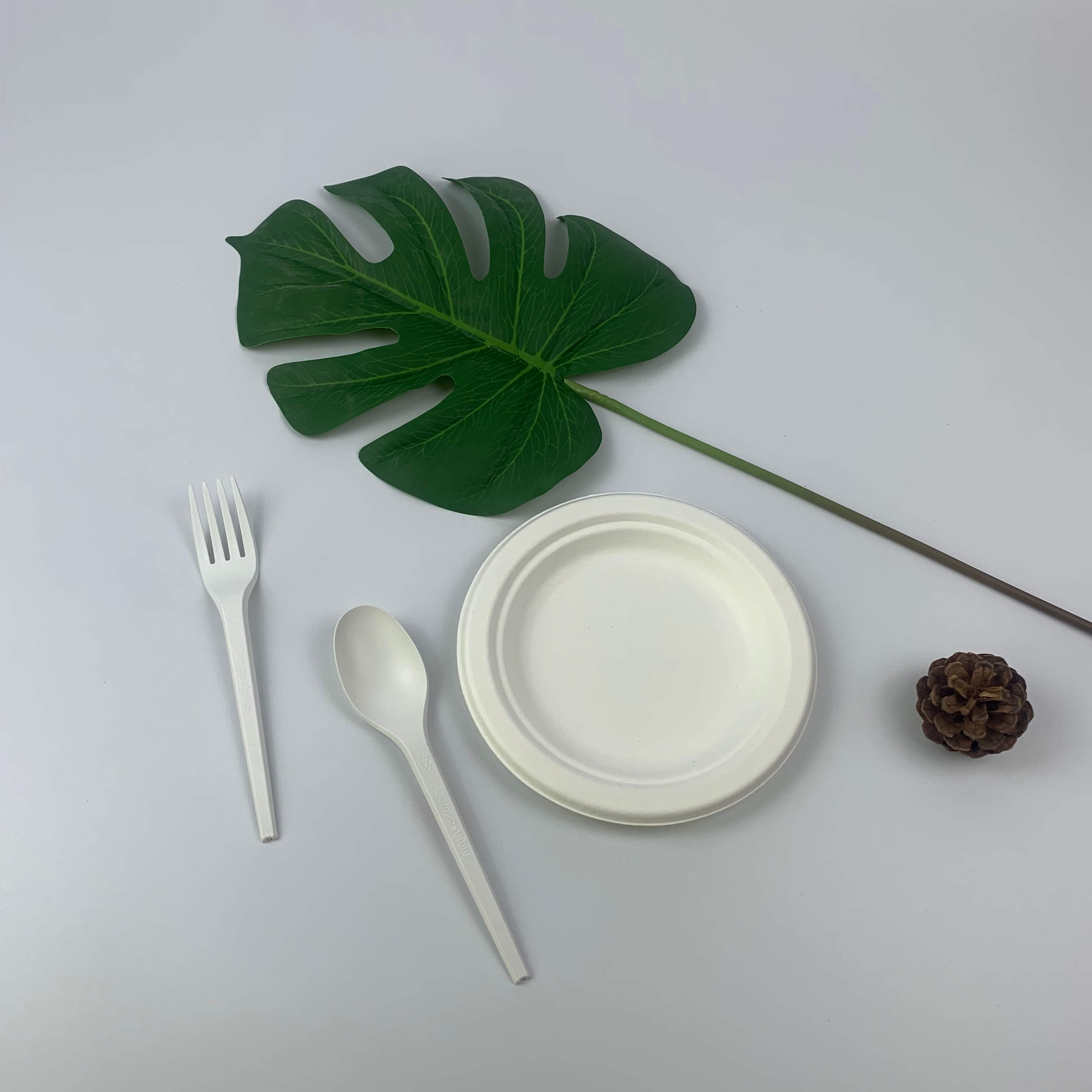 Úsáidtear Bagasse mar ábhar atá neamhdhíobhálach don chomhshaol