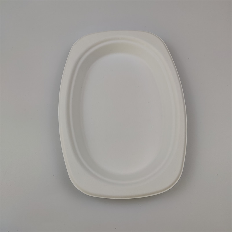 Pláta Oval bagasse 9'' x 6''
