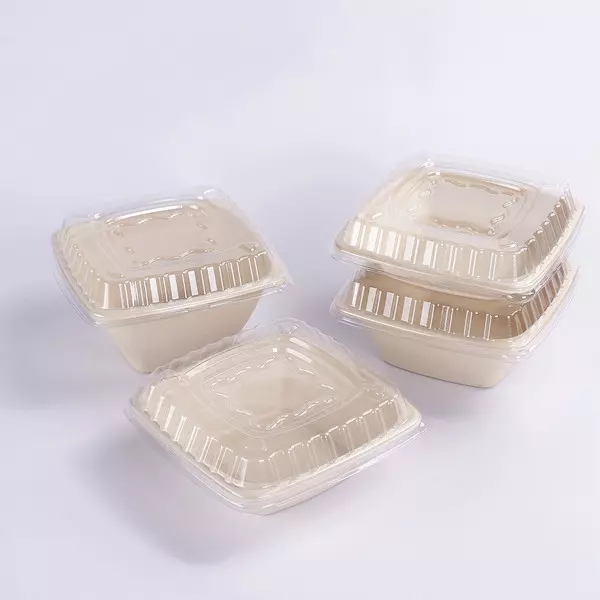 Babhla Cearnóg Bagasse
