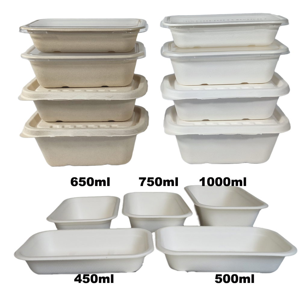 Coimeádáin dronuilleogacha bagasse fada