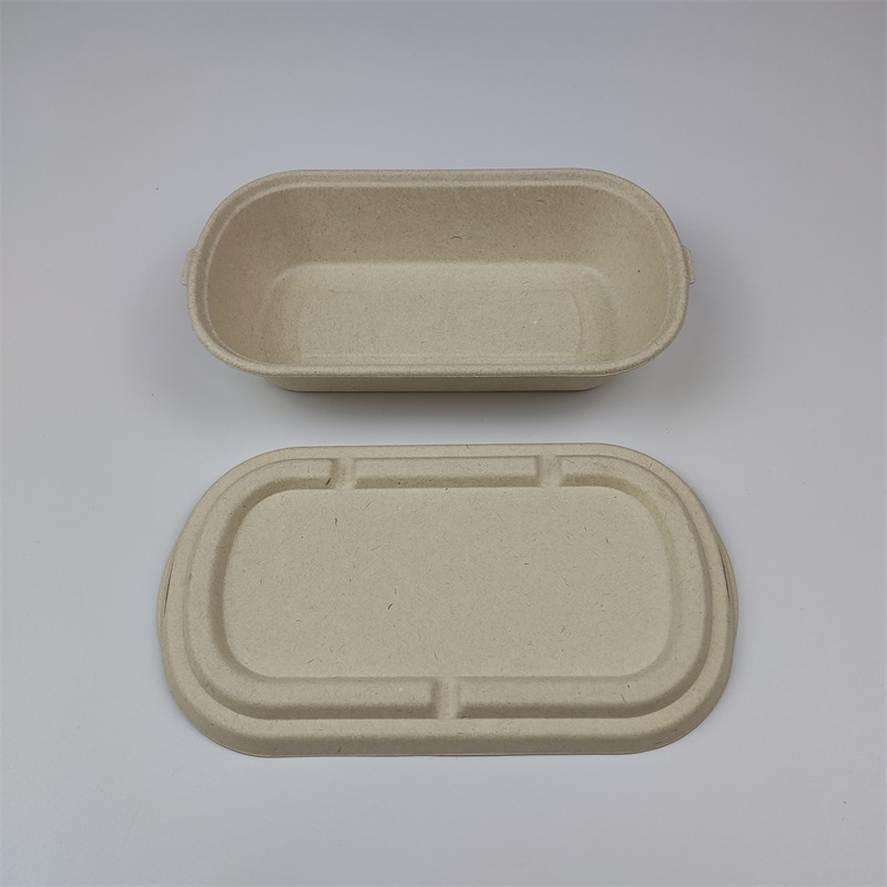 Pacáistiú Bagasse