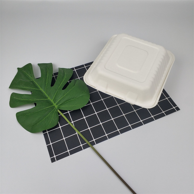 bosca bia bagasse sugarcane 9 orlach