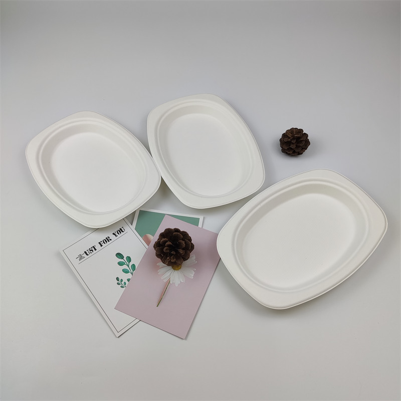 Buntáistí Táirgí Laíon Bagasse