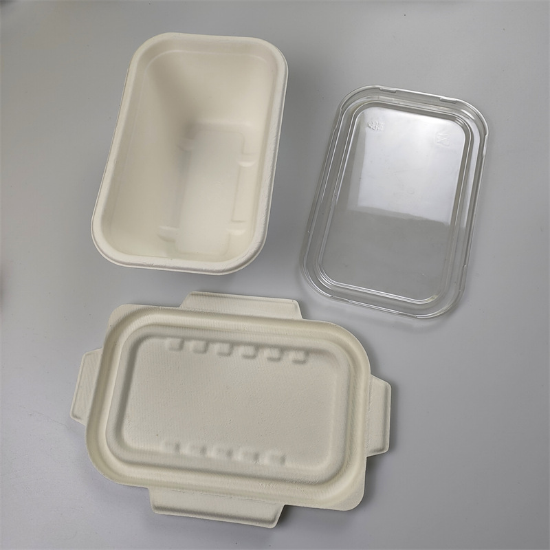 Coimeádán Bagasse Dronuilleogach 1000 ml