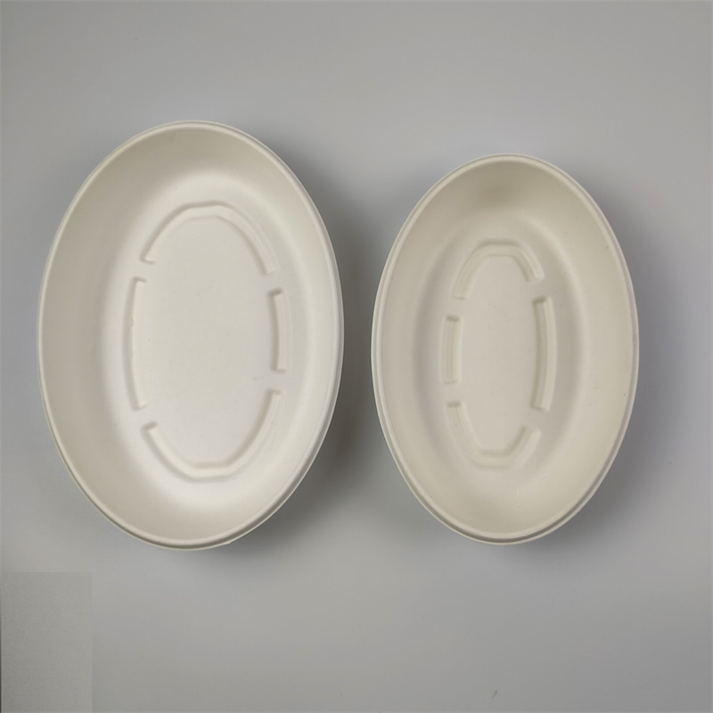 Babhla Oval Sugarcane Bagasse