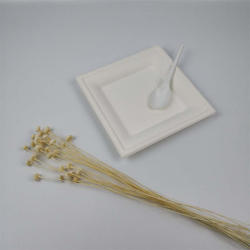 Plátaí bagasse cearnach 6 orlach