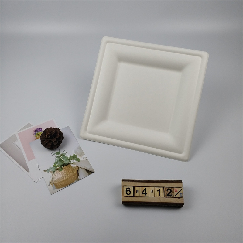Pláta cearnach bagasse 8 orlach