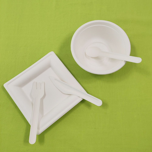 sceanra bagasse