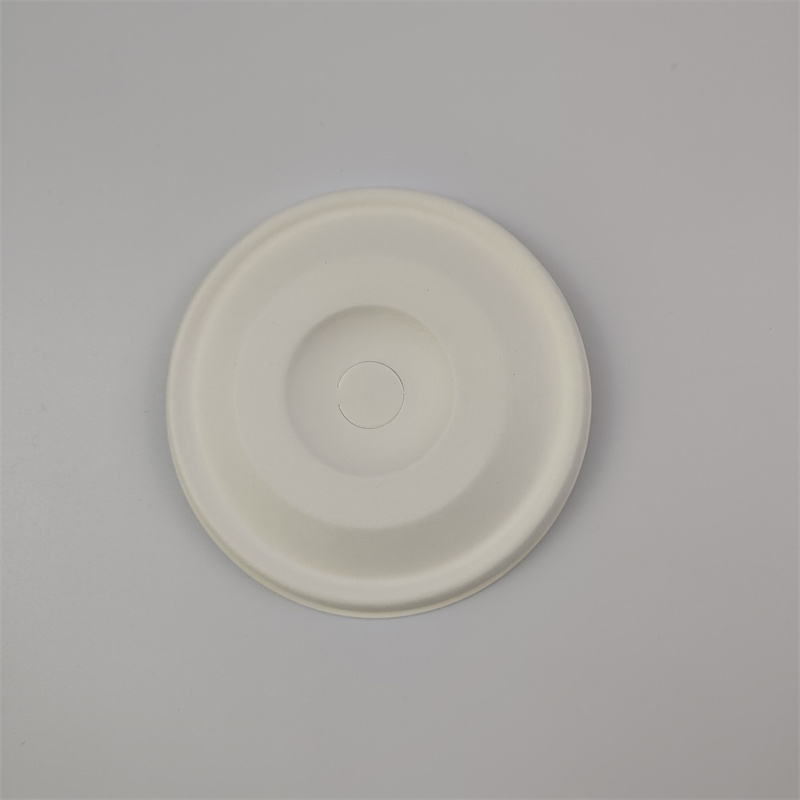 Clúdach Maol Bagasse