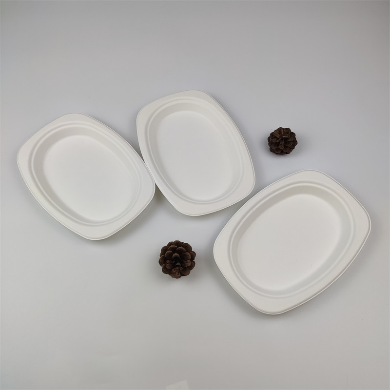 Pláta Oval bagasse 9'' x 6''