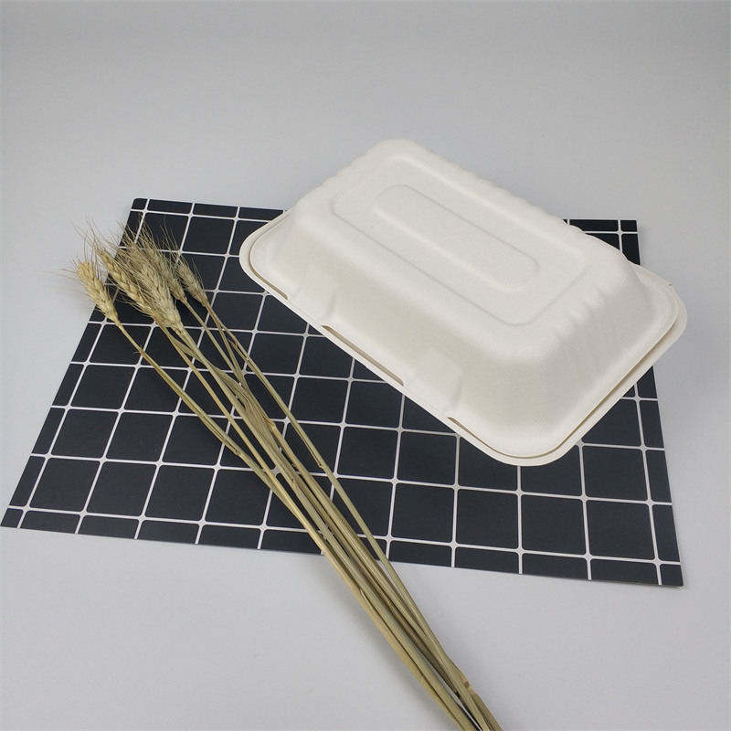 Bagasse Siúcra Indiúscartha In-bhithmhillte 9*6 orlach Bosca Bia Le Téigh