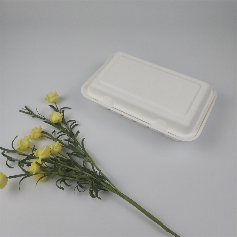 boscaí clamshell páipéar eco bagasse