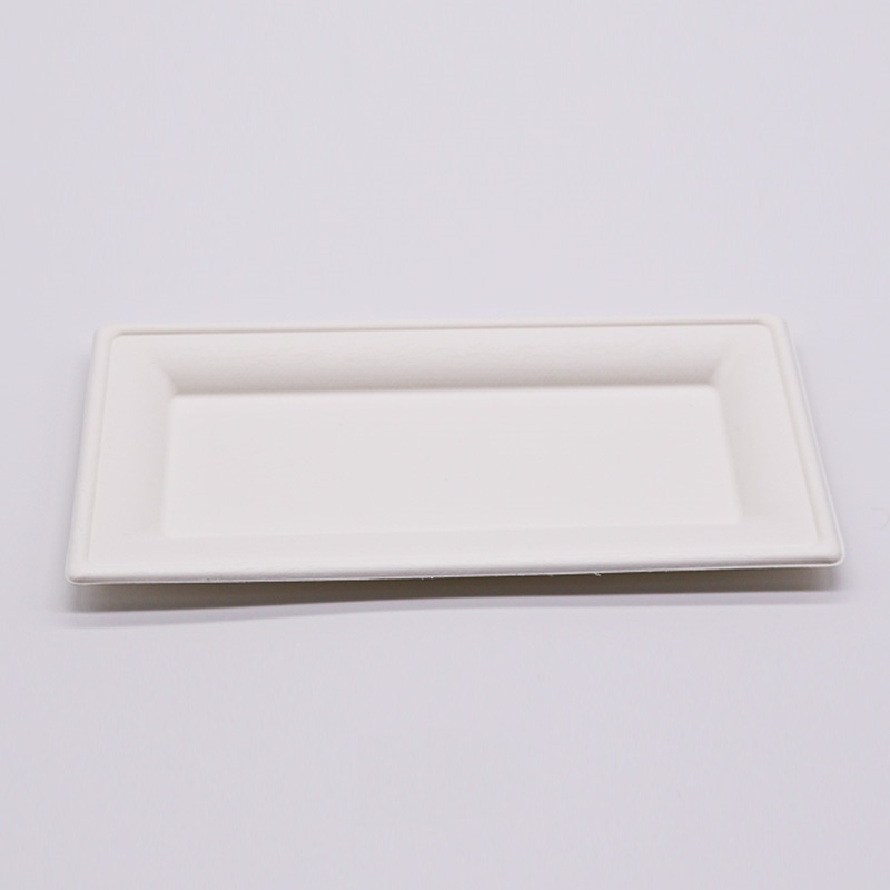 pláta bagasse dronuilleogach