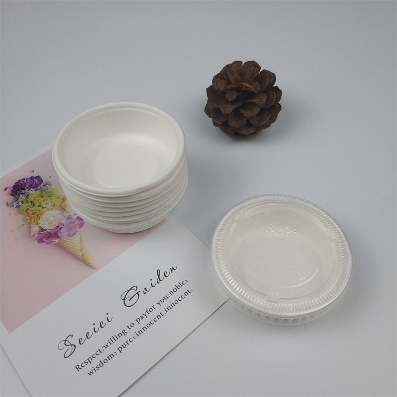 cupán anlann laíon bagasse sugarcane